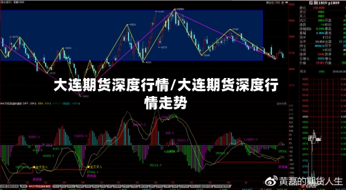大连期货深度行情/大连期货深度行情走势