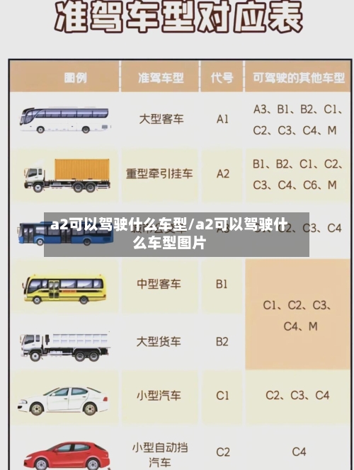 a2可以驾驶什么车型/a2可以驾驶什么车型图片-第2张图片