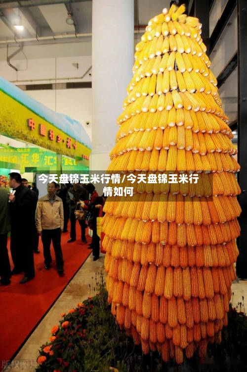 今天盘锦玉米行情/今天盘锦玉米行情如何-第2张图片