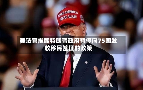 美法官推翻特朗普政府暂停向75国发放移民签证的政策-第1张图片