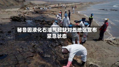 秘鲁因液化石油气短缺对五地区宣布紧急状态-第1张图片