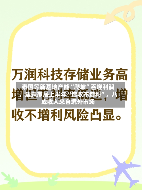 泰国等新基地产能“爬坡”吞噬利润	，建霖家居上半年“增收不增利	”，八成收入来自境外市场-第2张图片