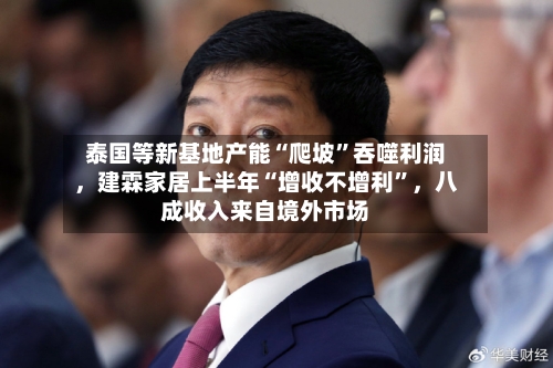 泰国等新基地产能“爬坡”吞噬利润，建霖家居上半年“增收不增利”，八成收入来自境外市场-第3张图片