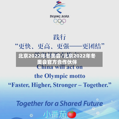 北京2022年冬奥会/北京2022年冬奥会官方合作伙伴