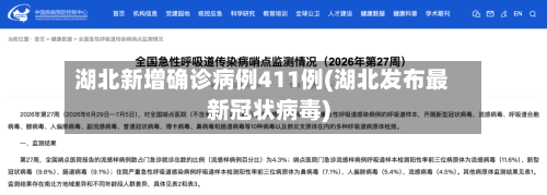 湖北新增确诊病例411例(湖北发布最新冠状病毒)-第2张图片