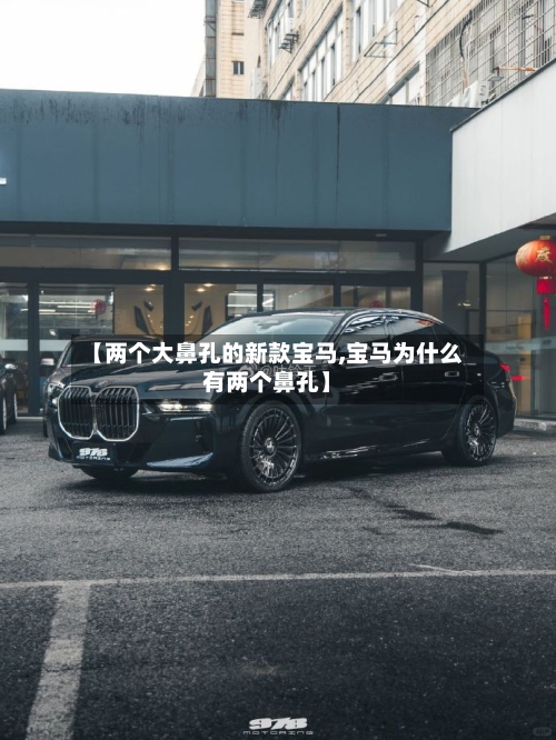 【两个大鼻孔的新款宝马,宝马为什么有两个鼻孔】-第3张图片