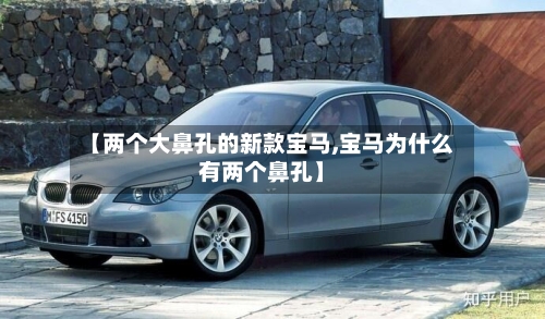 【两个大鼻孔的新款宝马,宝马为什么有两个鼻孔】