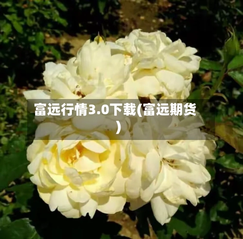 富远行情3.0下载(富远期货)