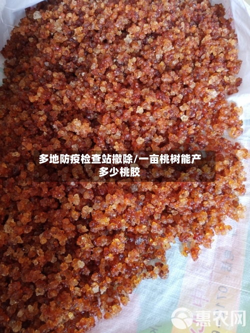 多地防疫检查站撤除/一亩桃树能产多少桃胶