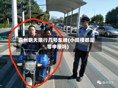霸州明天限行几号车牌(小规模都是零申报吗)