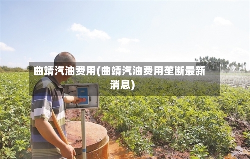 曲靖汽油费用(曲靖汽油费用垄断最新消息)-第2张图片