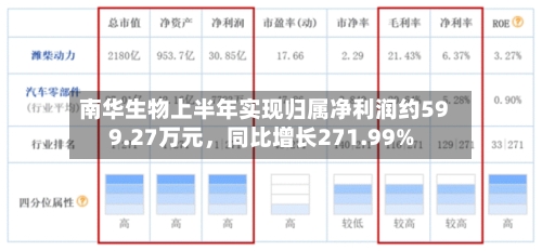 南华生物上半年实现归属净利润约599.27万元	，同比增长271.99%-第1张图片